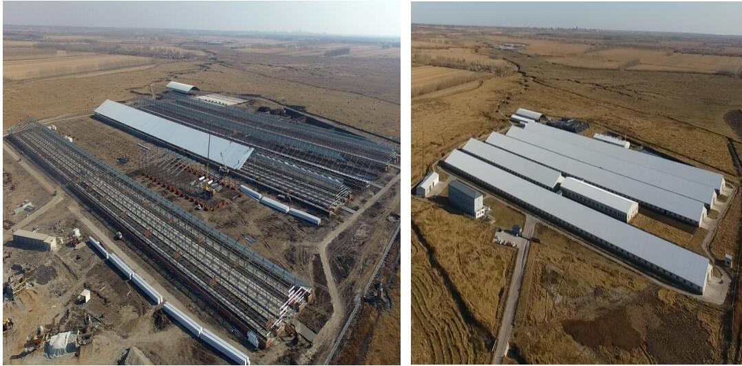 万利·(中国区)官方网站入口