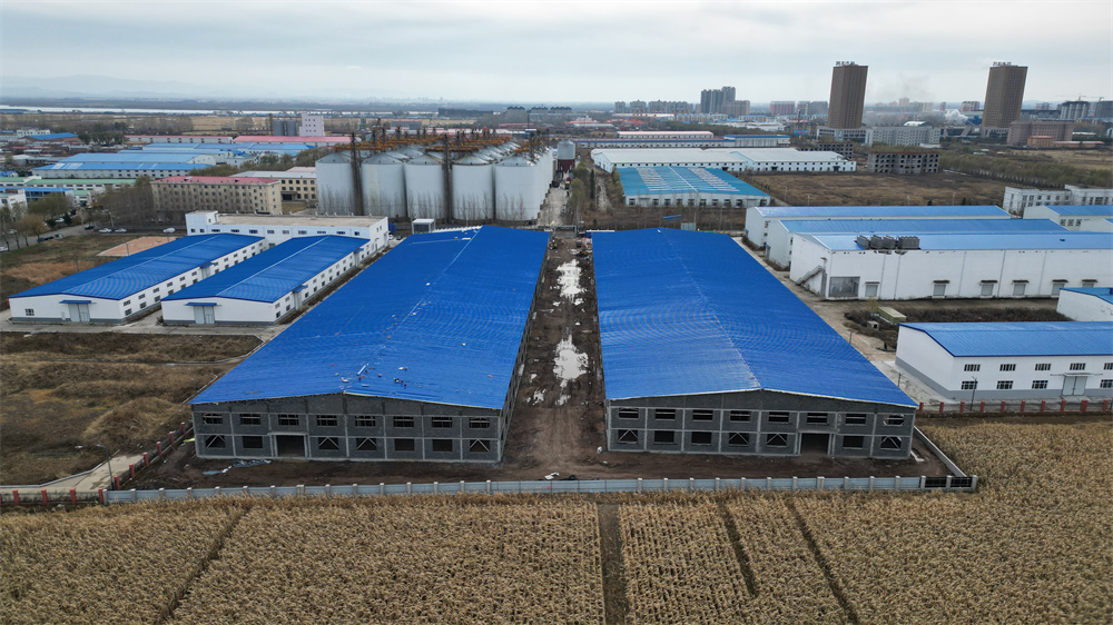 万利·(中国区)官方网站入口