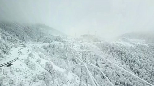 万利·(中国区)官方网站入口